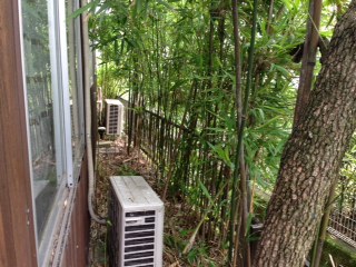 奈良便利屋お助けマスター 庭仕事 奈良便利屋お助けマスター 庭仕事