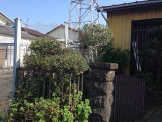 便利屋お助けマスター 庭木剪定 便利屋お助けマスター 庭木剪定