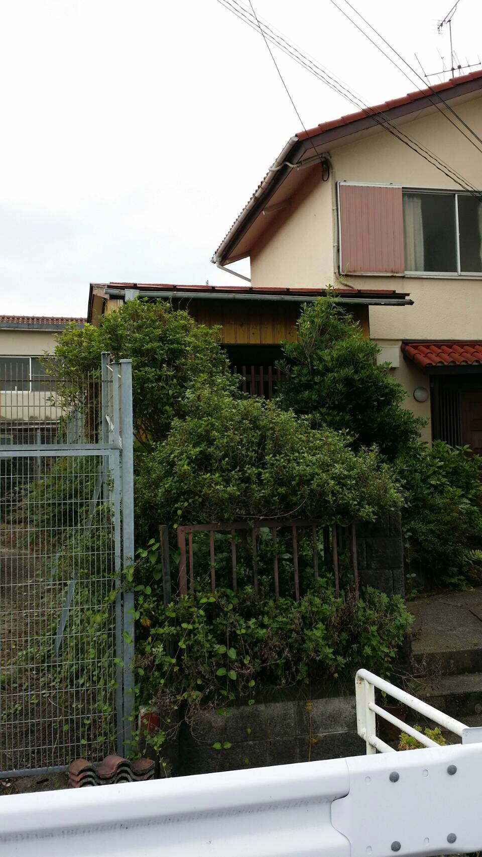 便利屋お助けマスター 庭木剪定 便利屋お助けマスター 庭木剪定