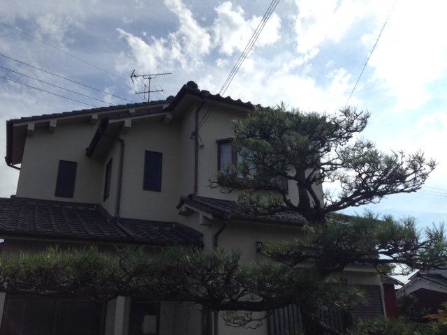 松の木剪定 松の木剪定