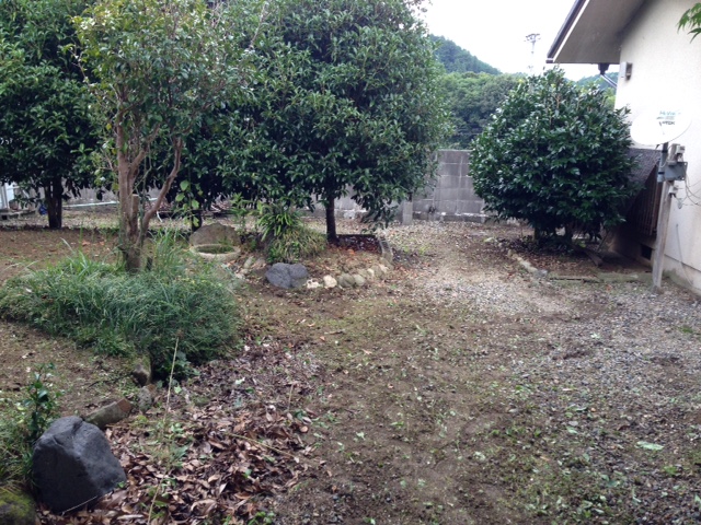 草むしり 草むしり