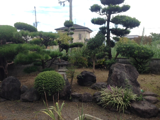 草刈り 草刈り