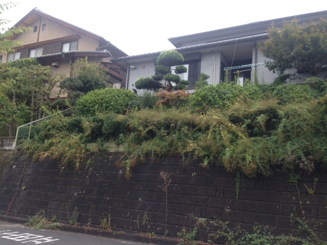 便利屋お助けマスター 庭木剪定 便利屋お助けマスター 庭木剪定