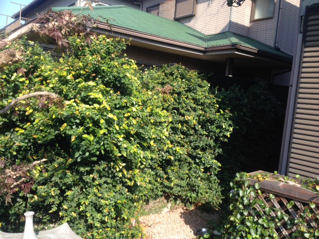奈良県 便利屋お助けマスター 奈良県 便利屋お助けマスター