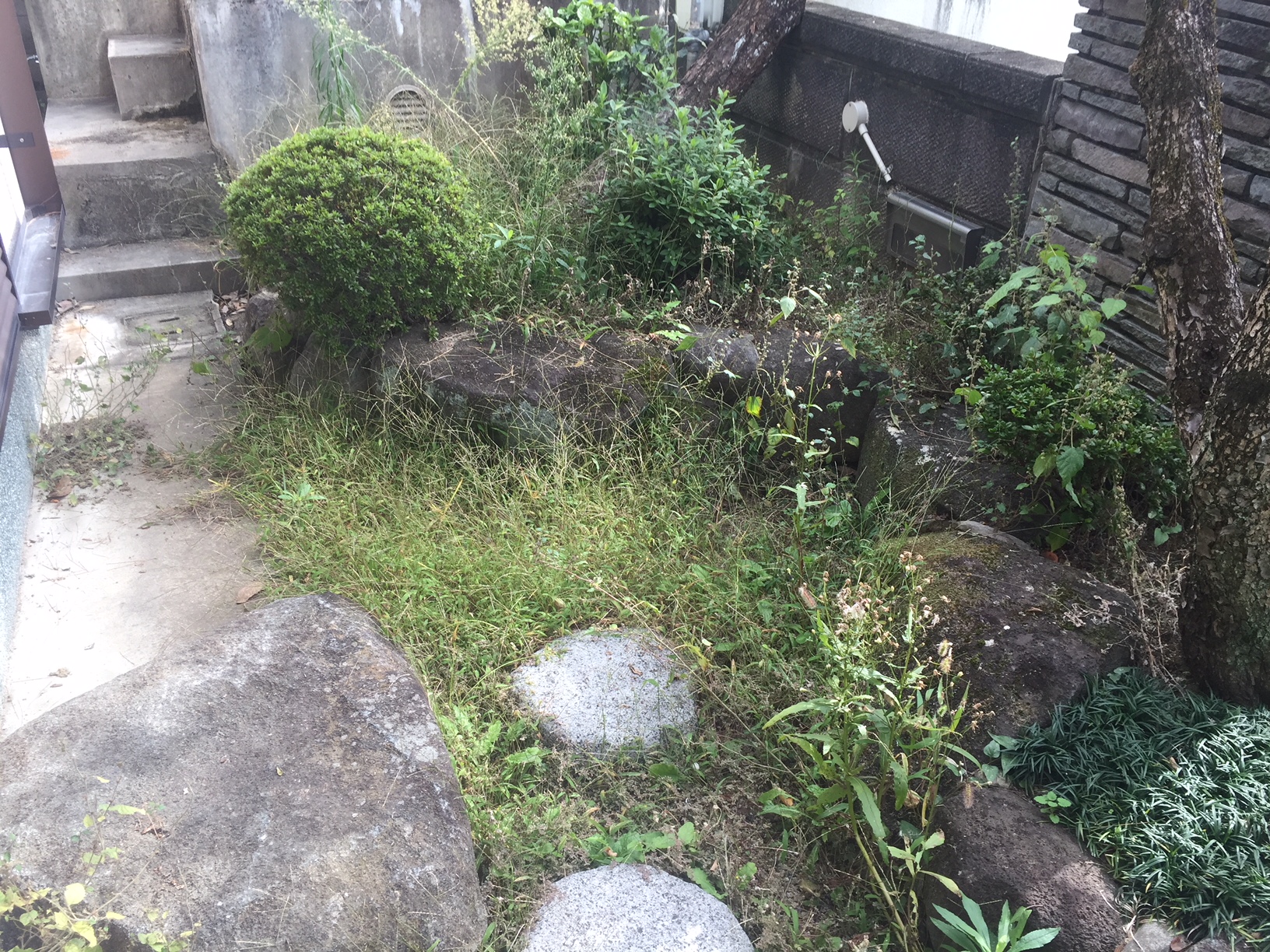 草とり 草とり