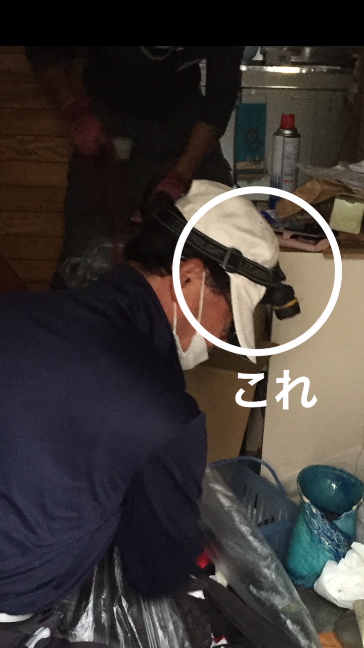ヘッドライト ヘッドライト