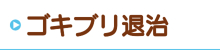 ゴキブリ退治 ゴキブリ退治