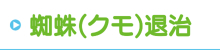 蜘蛛(クモ)退治 蜘蛛(クモ)退治