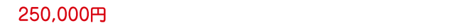 250,000円 250,000円
