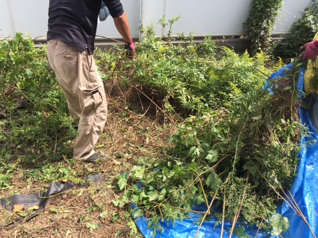 橿原市で草刈り業者 橿原市で草刈り業者