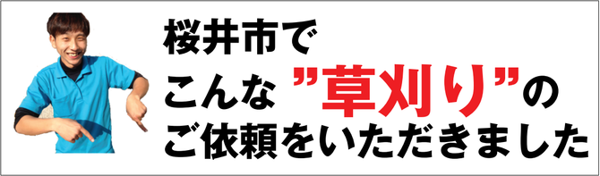 桜井市で草刈り業者 桜井市で草刈り業者