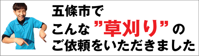 五條市で草刈り業者 五條市で草刈り業者