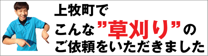 上牧町で草刈り業者 上牧町で草刈り業者