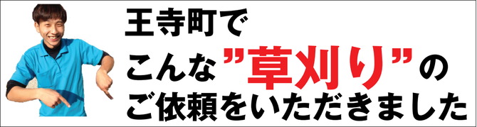 王寺町で草刈り業者 王寺町で草刈り業者