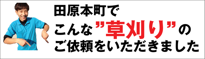 田原本町で草刈り業者 田原本町で草刈り業者