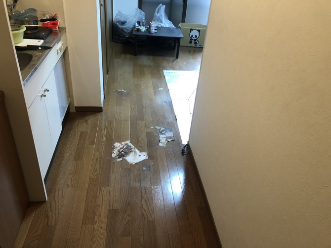 奈良市のゴミ屋敷清掃業者 奈良市のゴミ屋敷清掃業者
